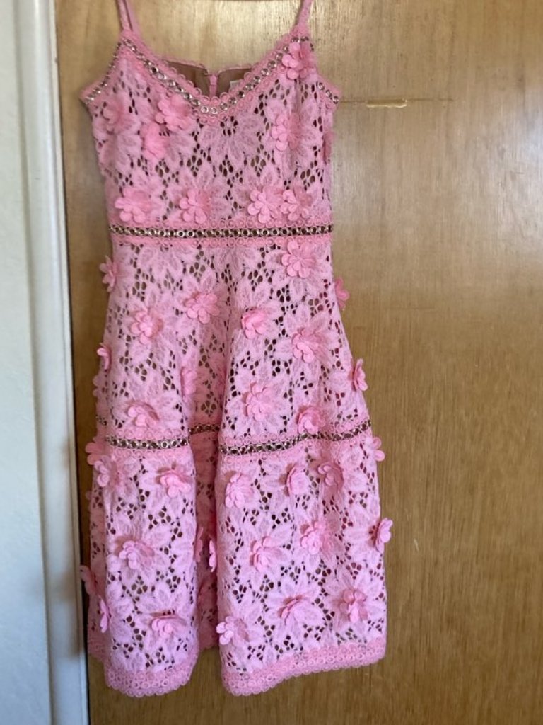 Michael Kors Floral Applique Lace Dress